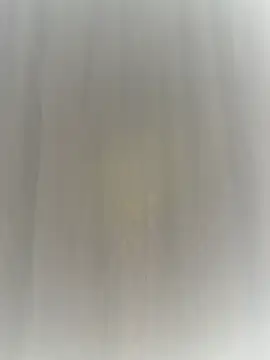 Kissbiceps webcam show