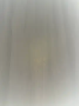 Онла йн чат XXX Kissbiceps