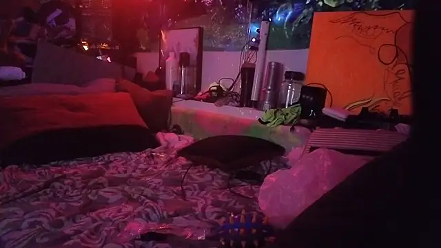 Cojote 即時 XXX 聊天