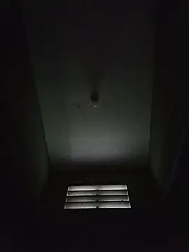 Hiptonos Live XXX-Chat