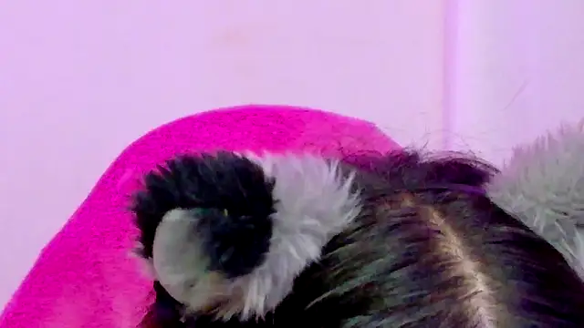 Sachi_MeowのライブXXXチャット