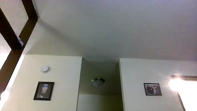 Chat +18 de Alwayshard421 ao vivo
