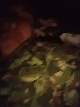 xjkedvn Webbikameraesitys