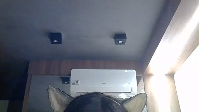 Show de SkinnyKitten na webcam