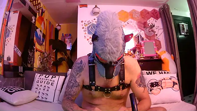 Show Webcam de danix_wild_wolf