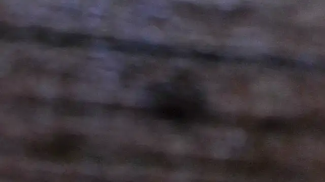 miss_preggie XXX чат на живо