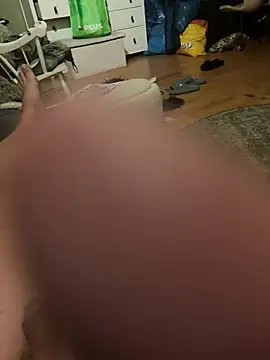 Johangrunnn Webbikameraesitys