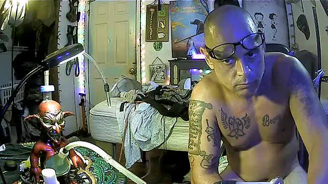 Buffshagswelln Live XXX chat