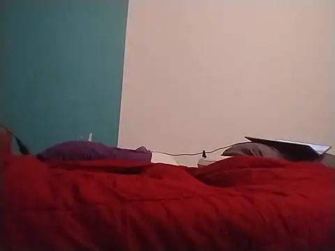 Chat XXX Live ReallyReallyReal