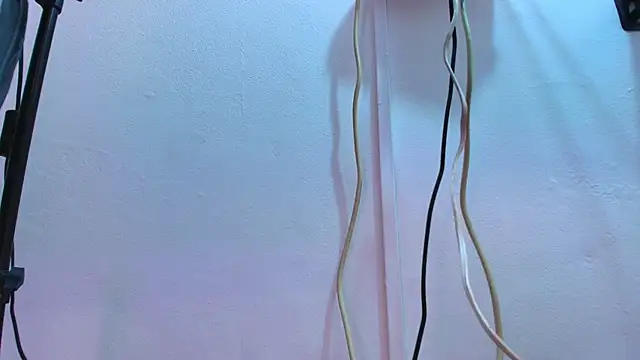 Brillytdoll élő XXX-chatje
