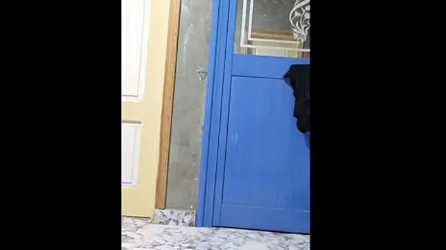 poerlax100n Webbikameraesitys
