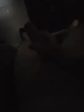 deanbean22 Show in webcam