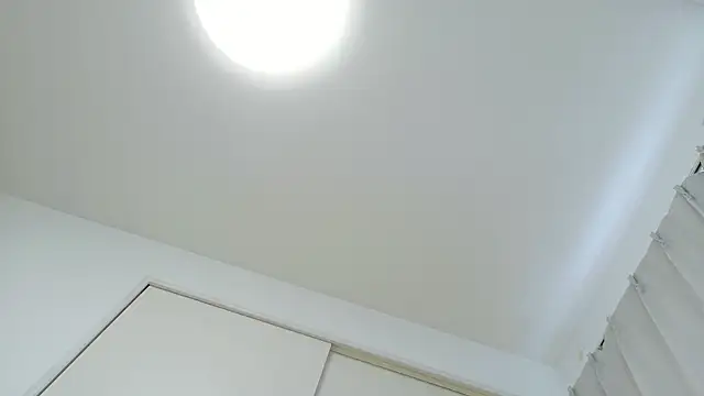 Miku_0 웹캠 쇼