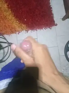 Vic_17_1 Webcam-Show
