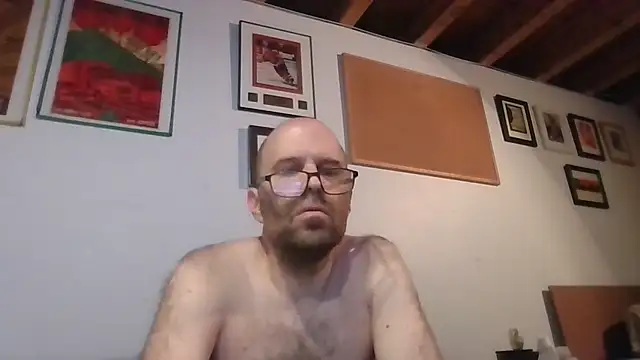 Show de webcam de WangDoodle