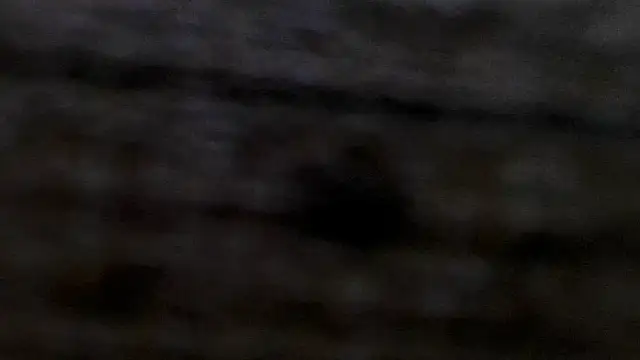 Chat +18 de miss_preggie ao vivo