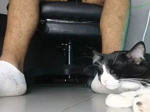 He_andshe Adlı Modelin Canlı XXX Sohbeti