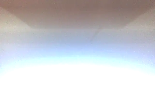 molozeb 即時 XXX 聊天