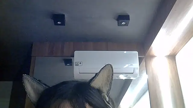 SkinnyKitten 网络视讯表演