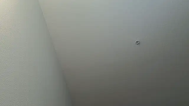 SebastianReiss' Live XXX Chat