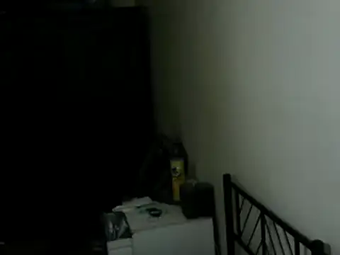 Show Webcam de 100Tauros