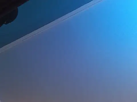Wildfreakxxwolf Webcamshow