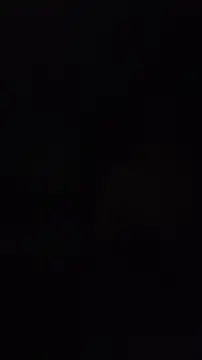 ZeldaSneakyLink Chat XXX in diretta