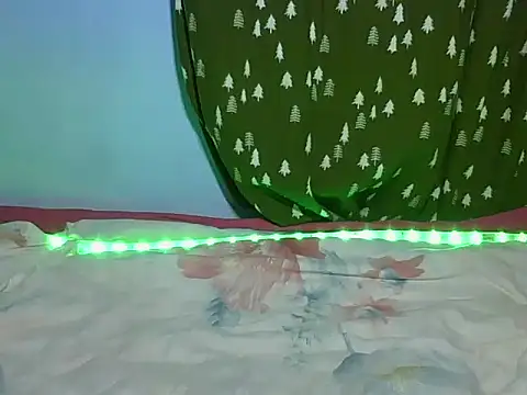 masterbbc_ Webcam-Show