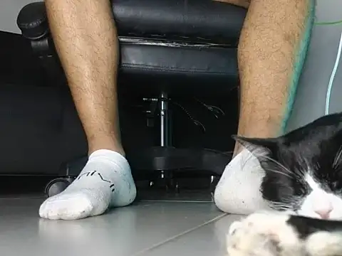 Онлайн чат XXX He_andshe