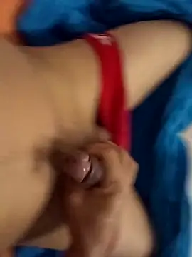 leanmende Webcam show