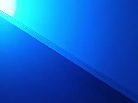 WildfreakxxwolfのライブXXXチャット
