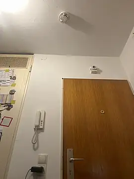 Toyjungee – Naživo XXX chat