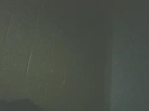 Alphamancum Webcam-Show