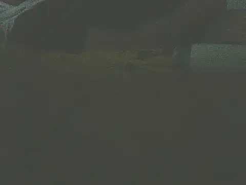 Alphamancum Webcam Show