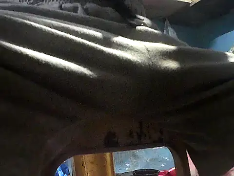 Precumking1 现场XXX聊天
