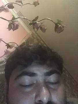 Show de eminrehi na webcam