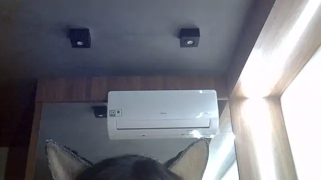 Show de SkinnyKitten na webcam