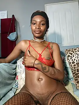 HoneyDropsX 라이브 XXX 채팅
