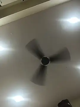 Chat XXX ao vivo de healthyguy175