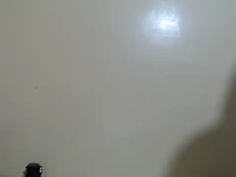 lynnsee 现场XXX聊天