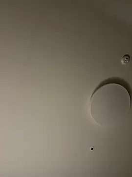 dvoiのウェブカメラショー