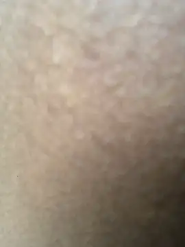 theprettysolesn Live XXX chat