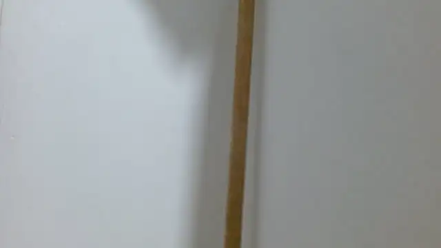 Diosasky 라이브 XXX 채팅