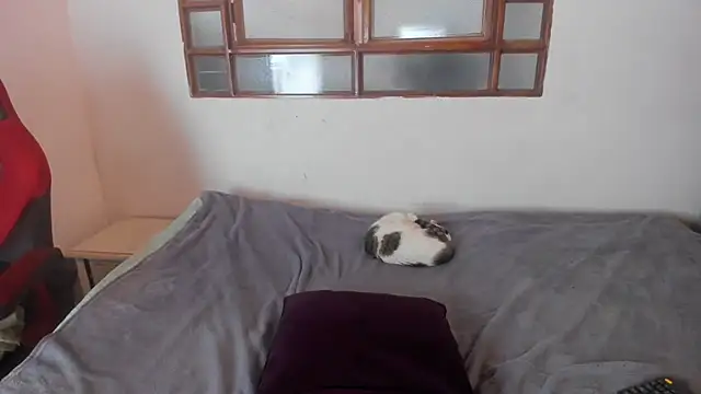 Živý XXX chat oliver_price1