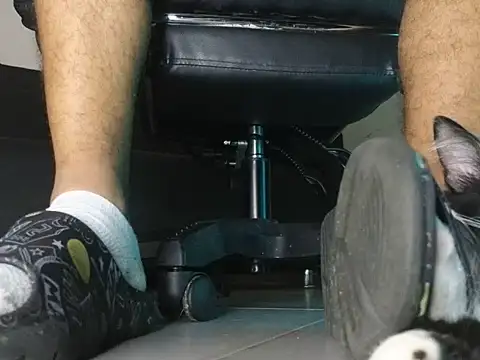 He_andshe লাইভ XXX চ্যাট