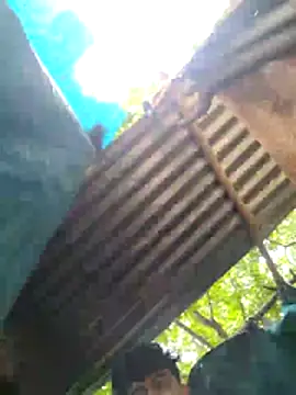 JamesOP11 Pertunjukan Webcam