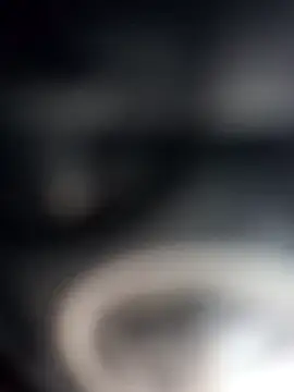 dustbunny64 即時 XXX 聊天