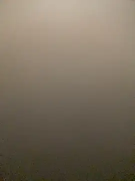 Taylor_DiamondBoy's Live XXX Chat