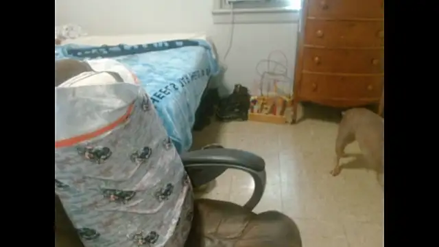 Chatroom XXX en direct de DADDY_KANE8---