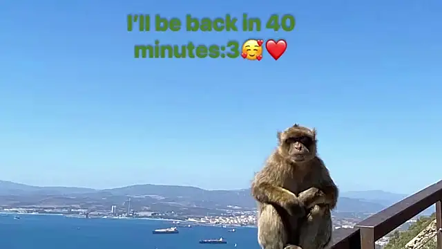 Živý XXX chat andyyzzz